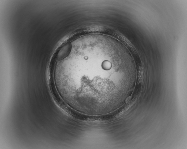X0000115780726200911201311