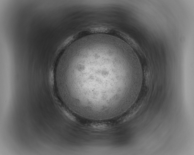 X0000115780729200911201311