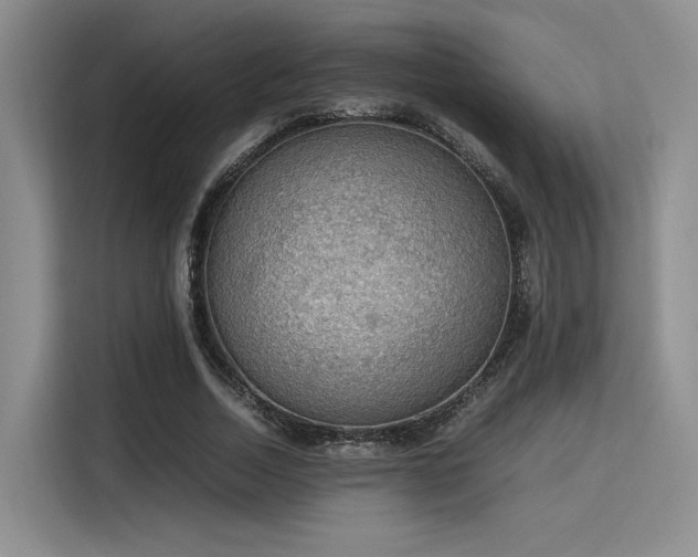 X0000115780730200911201311
