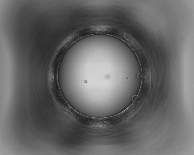 X0000115780731200911201311
