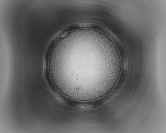 X0000115780733200911201311