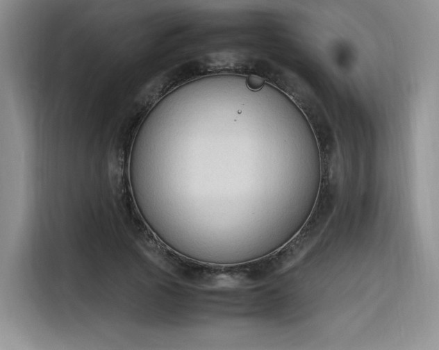 X0000115780737200911201311