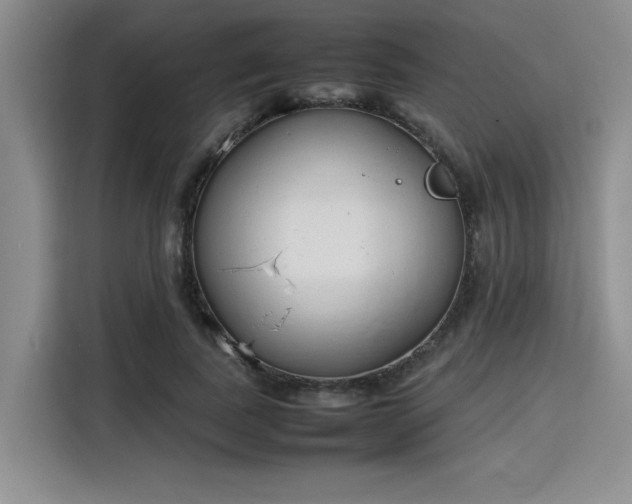 X0000115780739200911201311