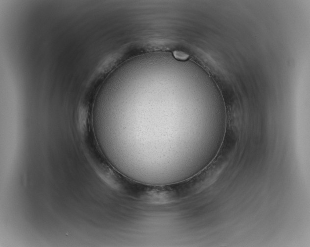 X0000115780742200911201311
