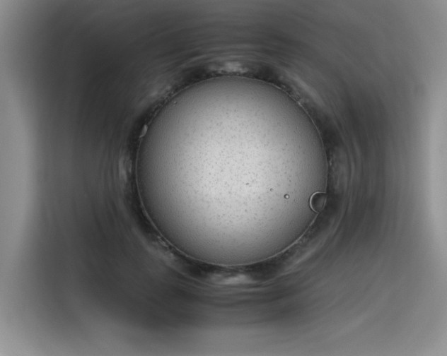 X0000115780747200911201311