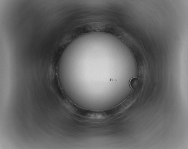 X0000115780751200911201311