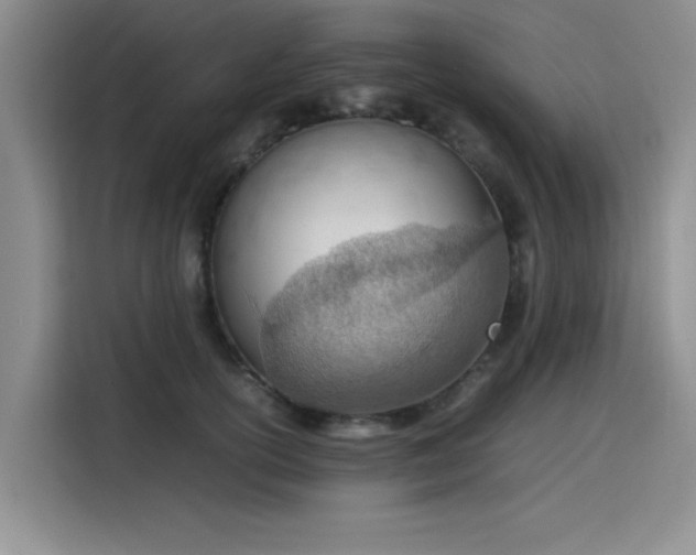 X0000115780754200911201311