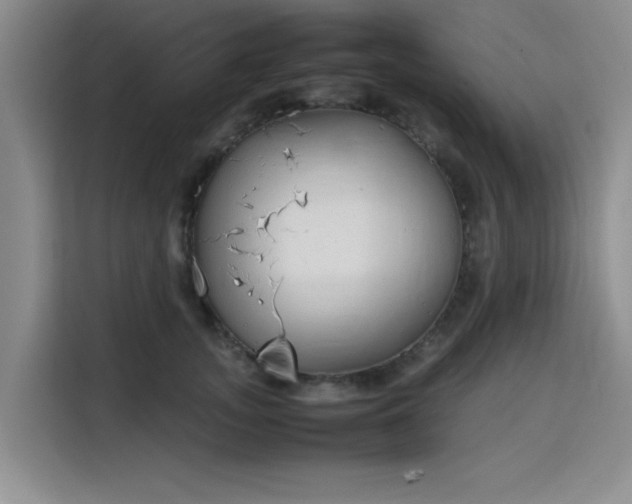 X0000115780755200911201311