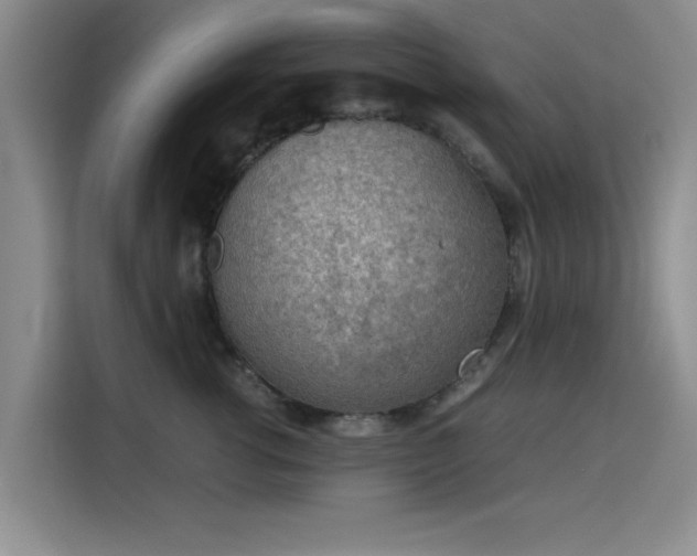 X0000115780762200911201312