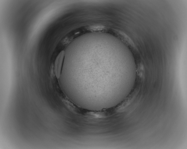 X0000115780763200911201312