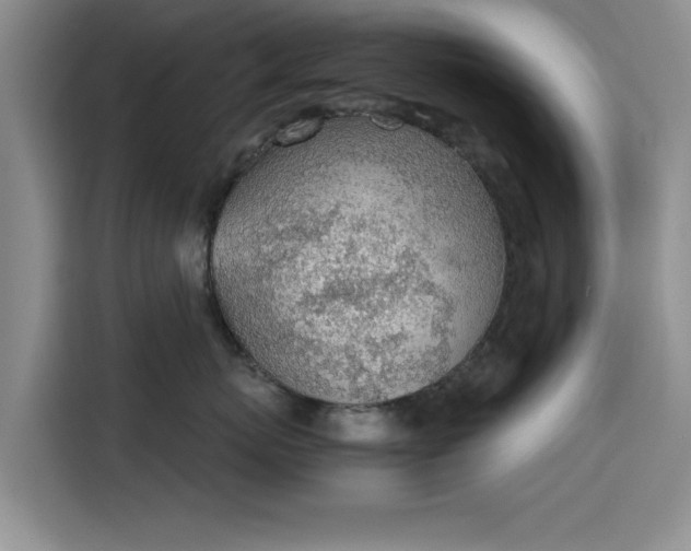 X0000115780767200911201312