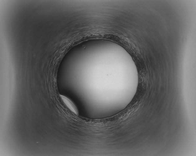X0000115780769200911201311