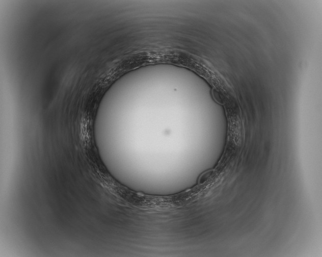 X0000115780770200911201311