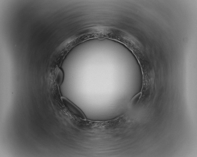 X0000115780773200911201311