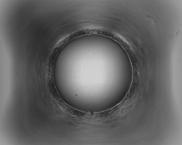 X0000115780775200911201311
