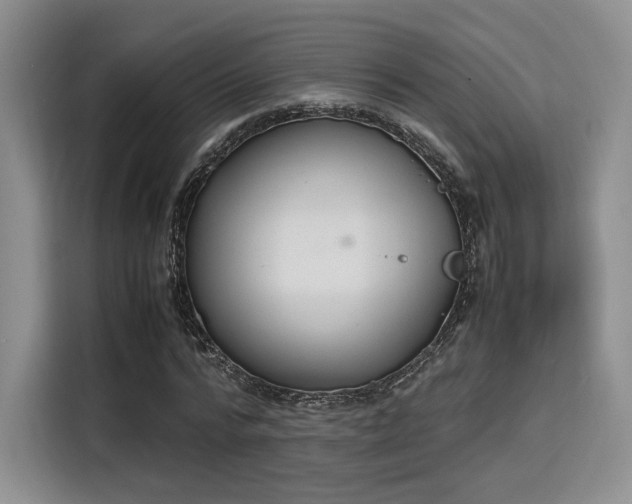 X0000115780776200911201311