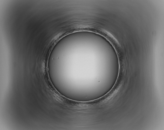 X0000115780777200911201311