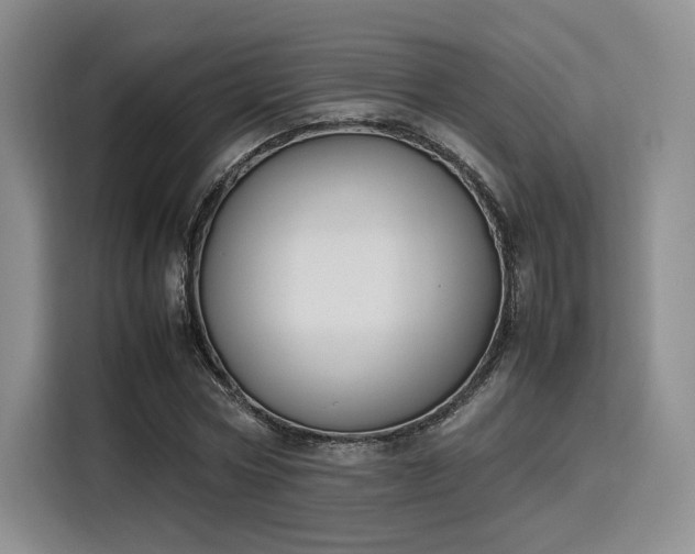 X0000115780778200911201311