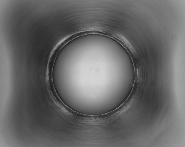 X0000115780780200911201311