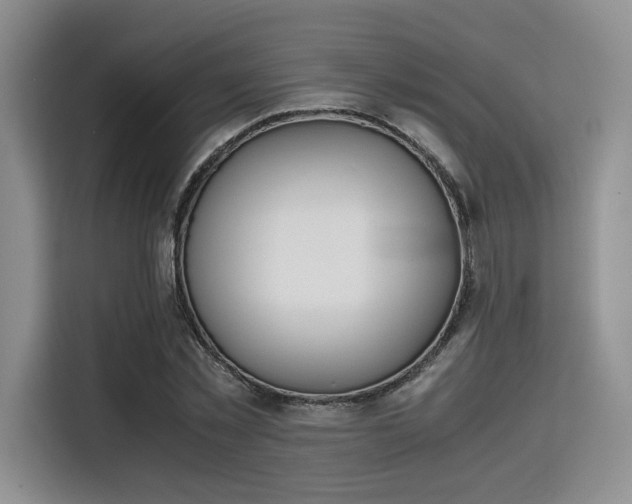 X0000115780781200911201311