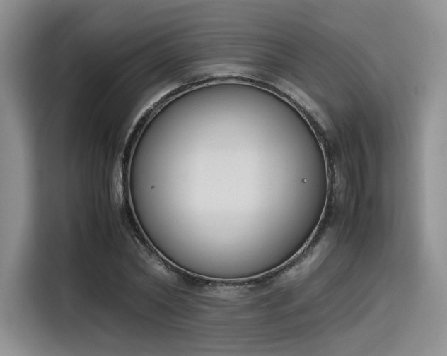 X0000115780782200911201311