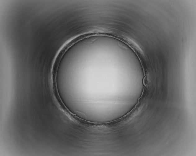 X0000115780784200911201311