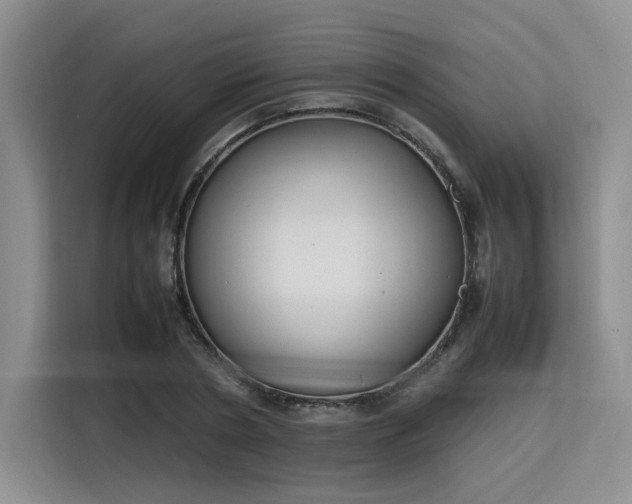 X0000115780786200911201311