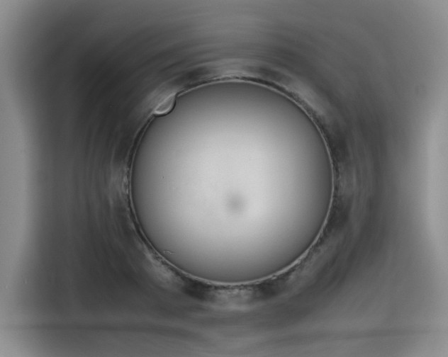 X0000115780793200911201311