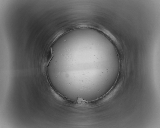 X0000115780801200911201311