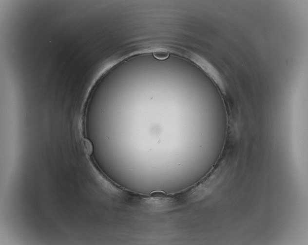 X0000115780805200911201311