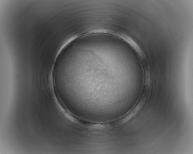 X0000115780806200911201311