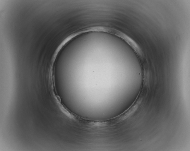 X0000115780808200911201310