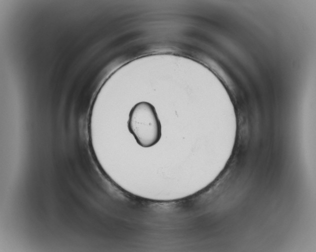 X0000115780810200911201310