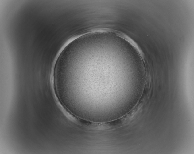 X0000115780811200911201310