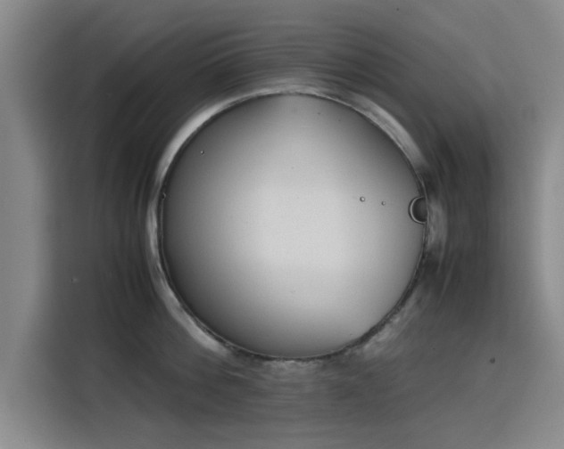 X0000115780812200911201310
