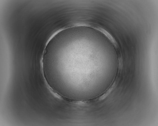 X0000115780814200911201310