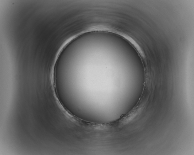 X0000115780815200911201310