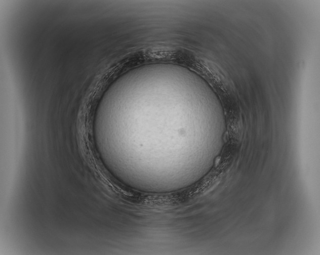 X0000115780817200911201310
