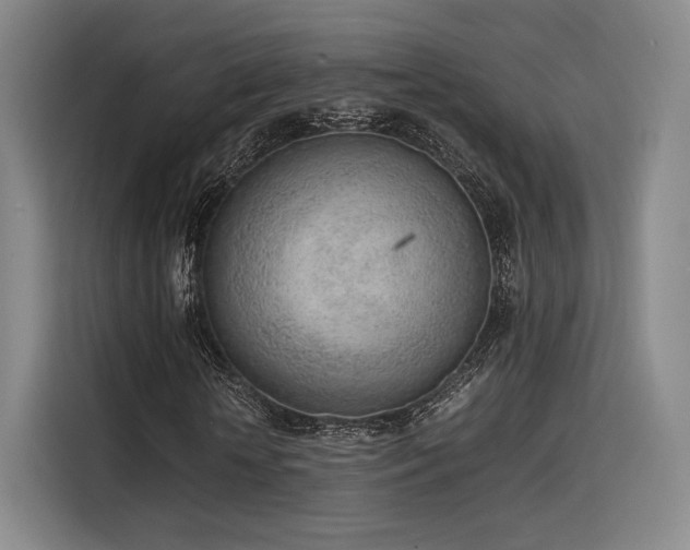X0000115780818200911201310