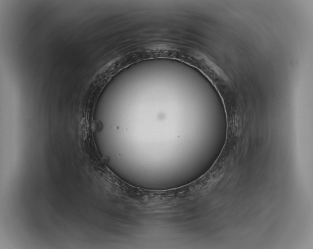 X0000115780821200911201310