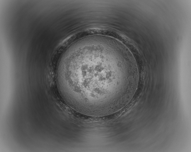X0000115780822200911201310