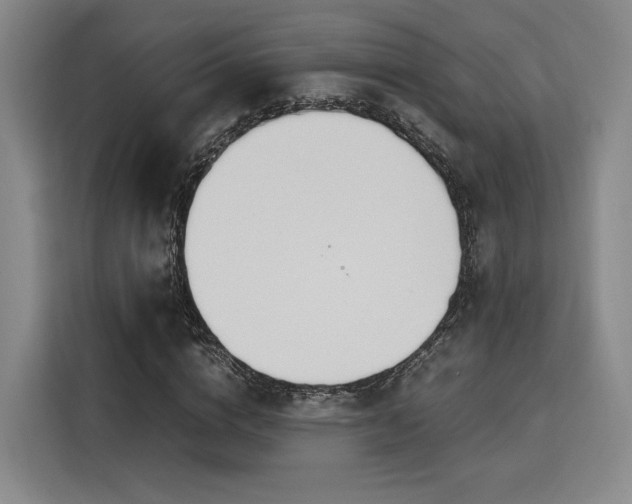 X0000115780824200911201310