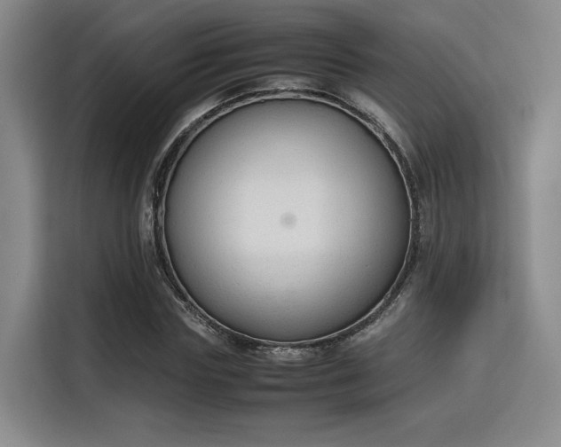 X0000115780827200911201310