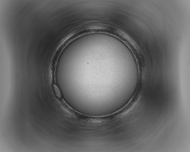 X0000115780829200911201310