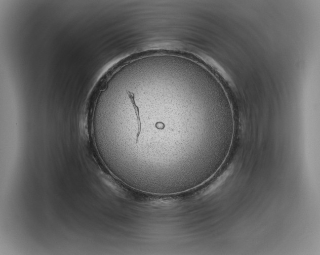 X0000115780830200911201310