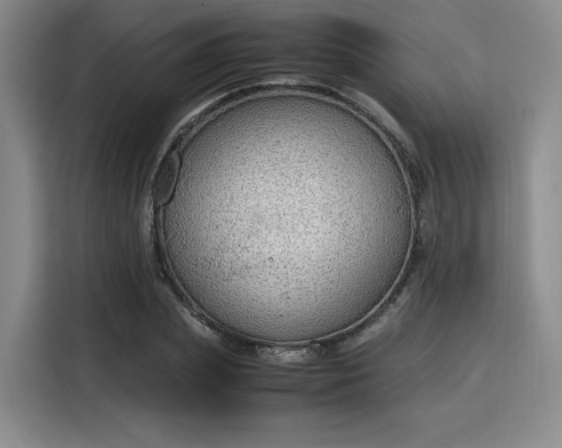 X0000115780831200911201310