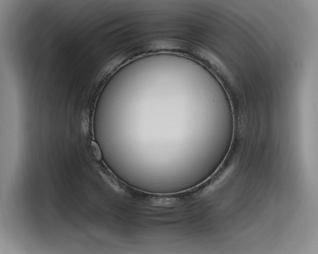 X0000115780833200911201310