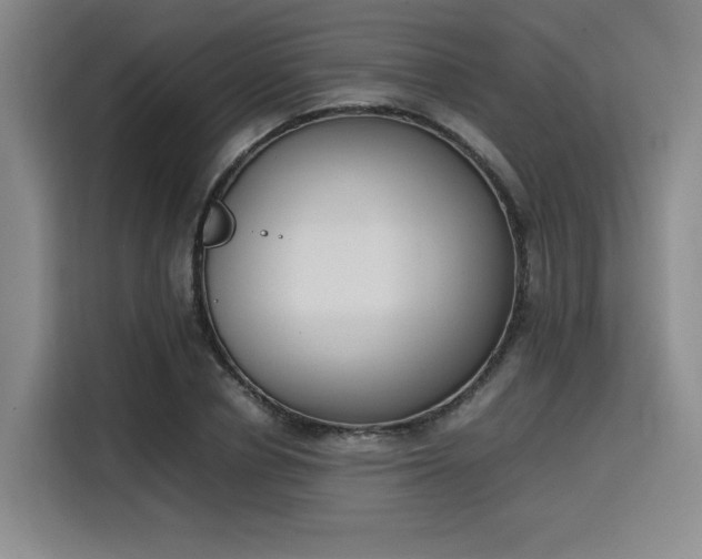 X0000115780834200911201310