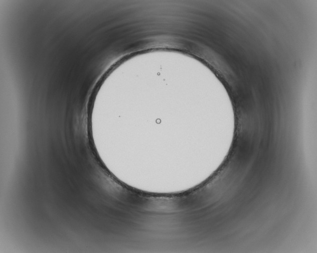 X0000115780836200911201310