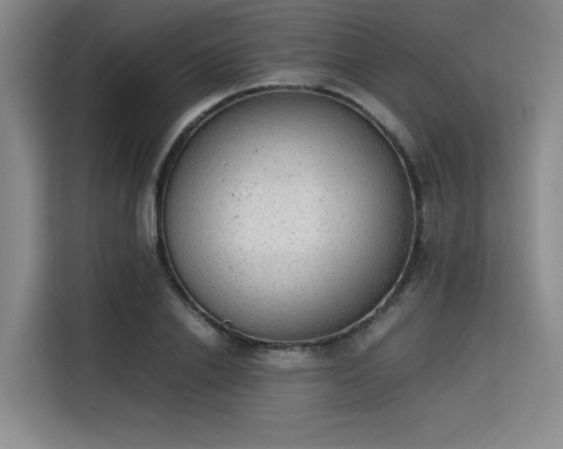 X0000115780838200911201310